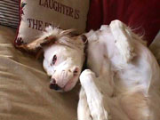 Meg, sent by a friend.
