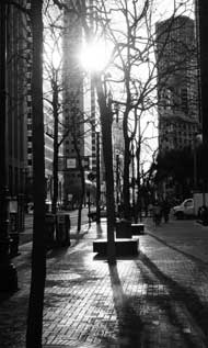 SF Chinese New Year Parade