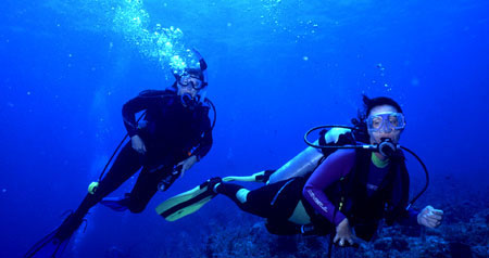 Laureen of the Deep is startled.
