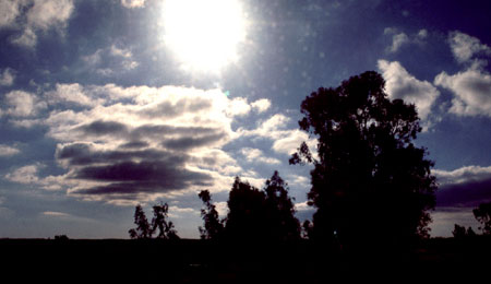 Through the train window near Martinez.