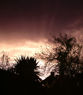 Behind the house.