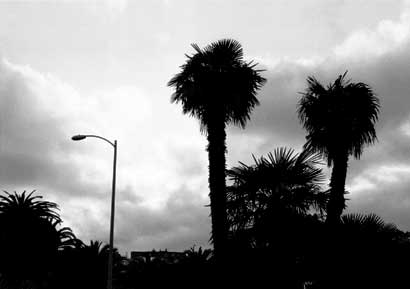 Near Lake Merritt in Oakland