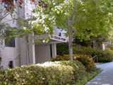 Apartment building front door in Oakland.