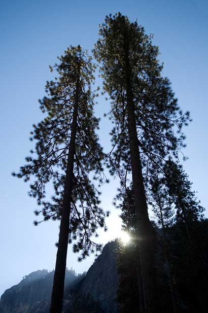 Yosemite, California.